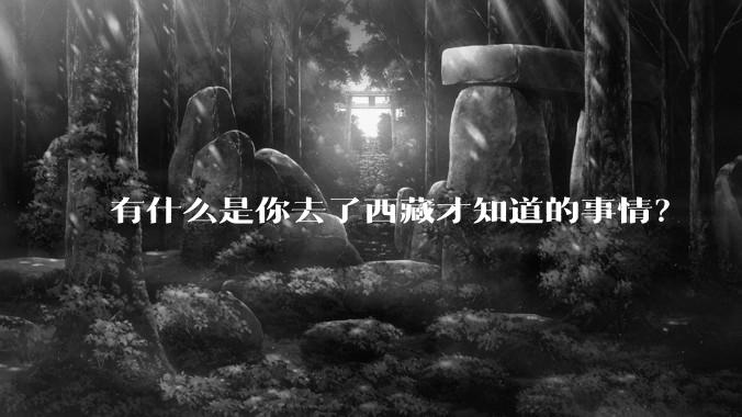 有什么是你去了西藏才知道的事情？