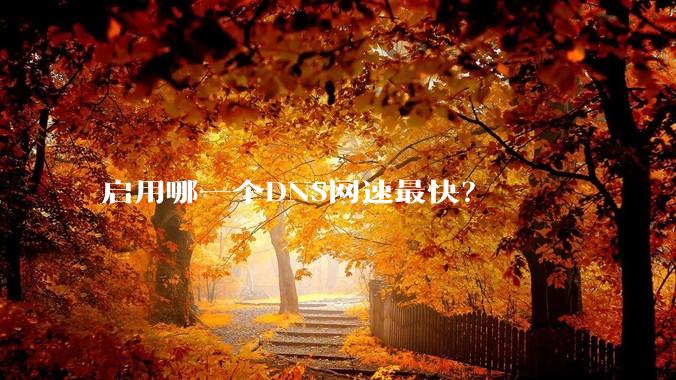 启用哪一个DNS网速最快？