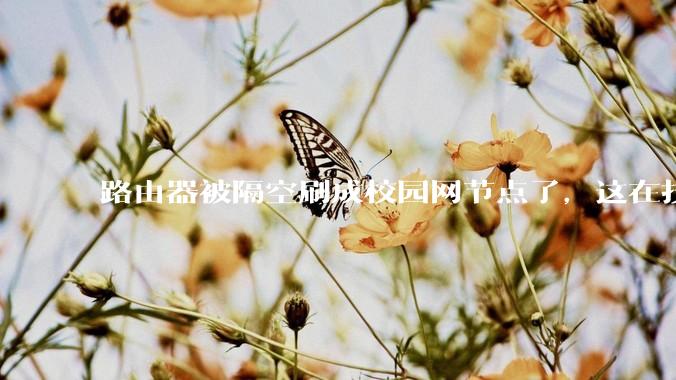路由器被隔空刷成校园网节点了，这在技术上是怎么实现的？